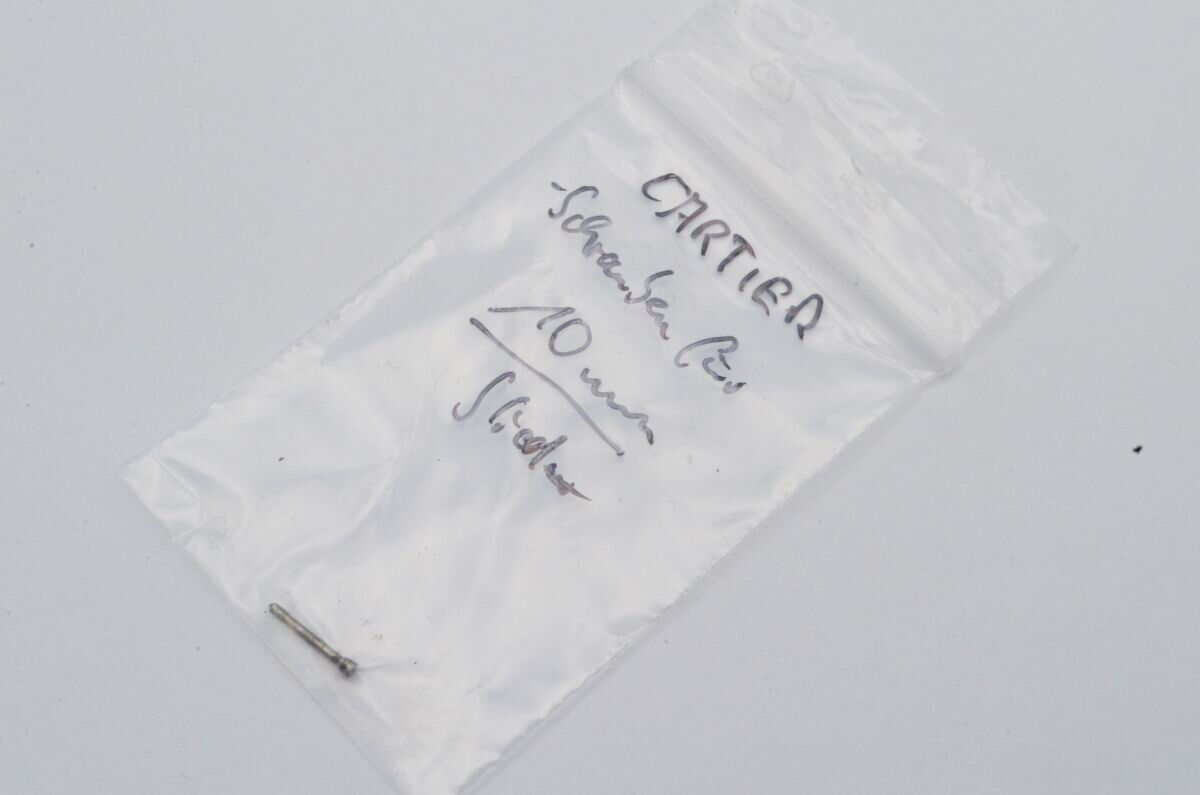 CARTIER SANTOS SCHRAUBE FÜR ERSATZGLIED 10MM SCREW FOR WATCH LINK 10MM Main Image